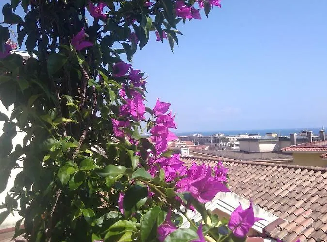 Fronte Al Porto
