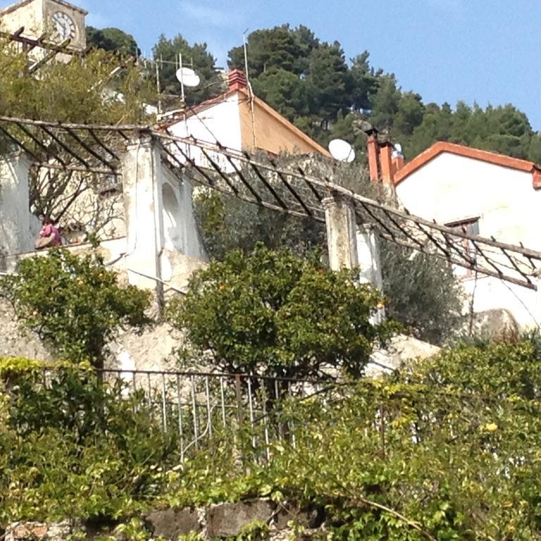 Apartamento Fronte Al Porto